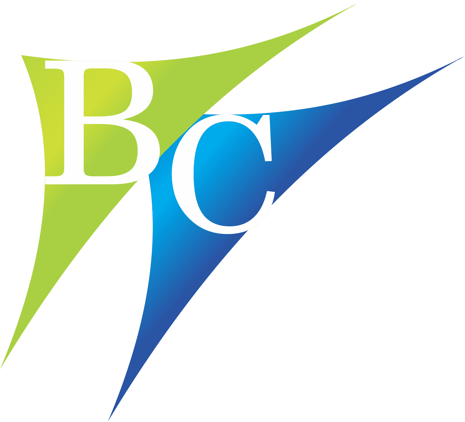 bc logo balajicredits