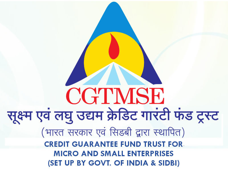 cgtmse loans, msme loan consultants, business loan consultants